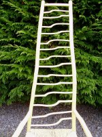 Hazel Waves